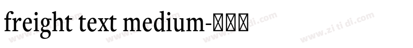 freight text medium字体转换 freight text medium字体转换